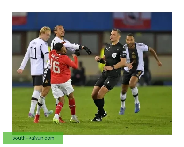 汉堡人民公园迎来欧洲杯热潮，赛事氛围逐步升温