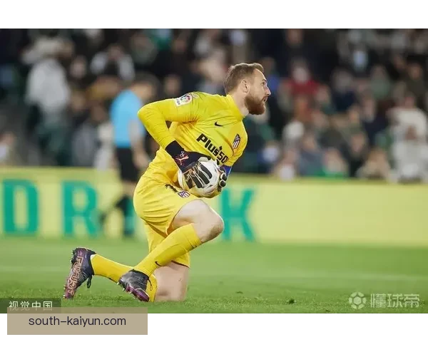 里奥本赛季进攻数据表现稳健，关键指标持续提升